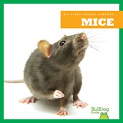 Mice cover image cdn
