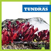 Tundras cover image cdn