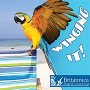 Winging it! cover image cdn