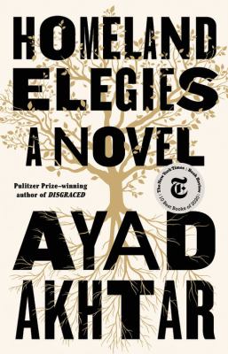 Homeland elegies  cover image cdn