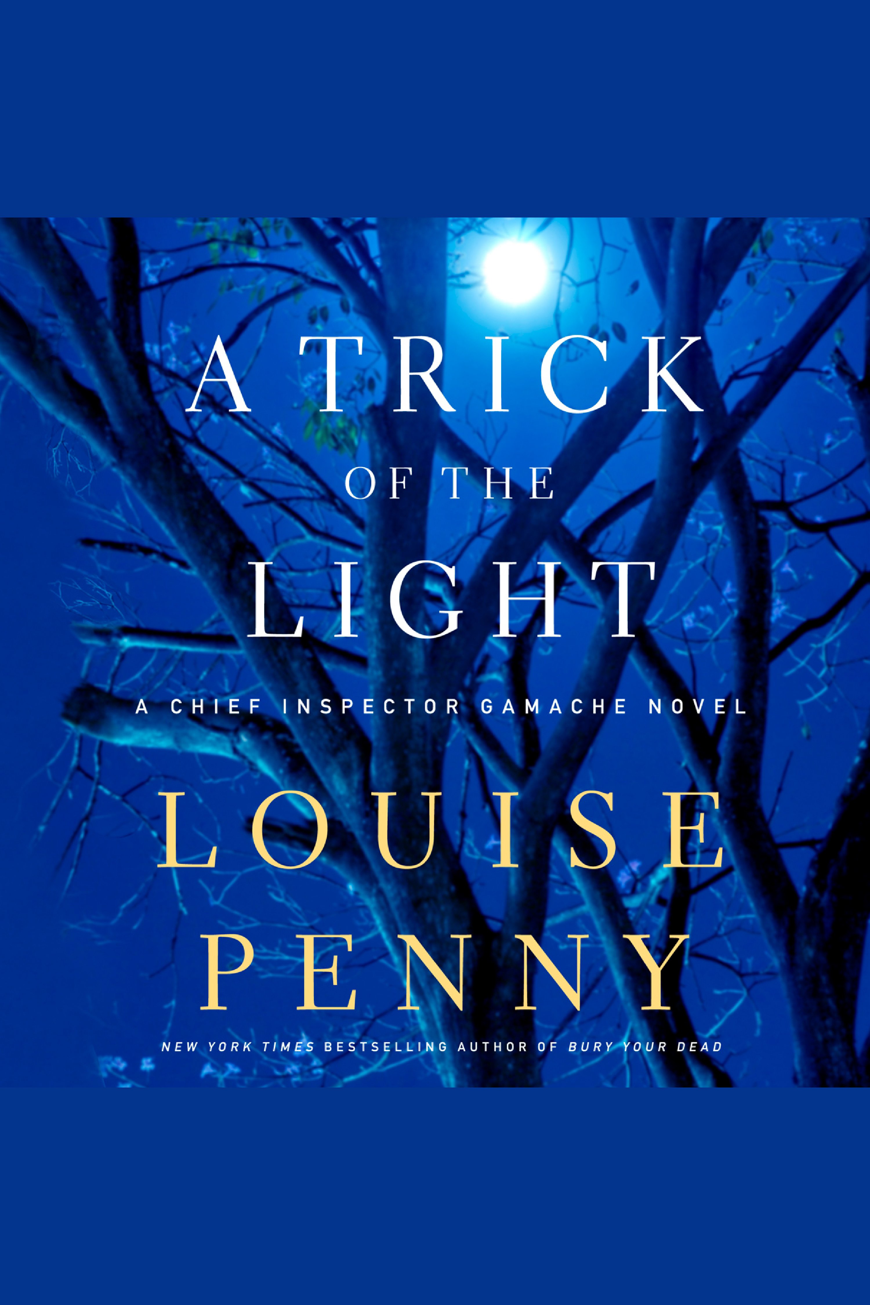 A trick of the light cover image cdn