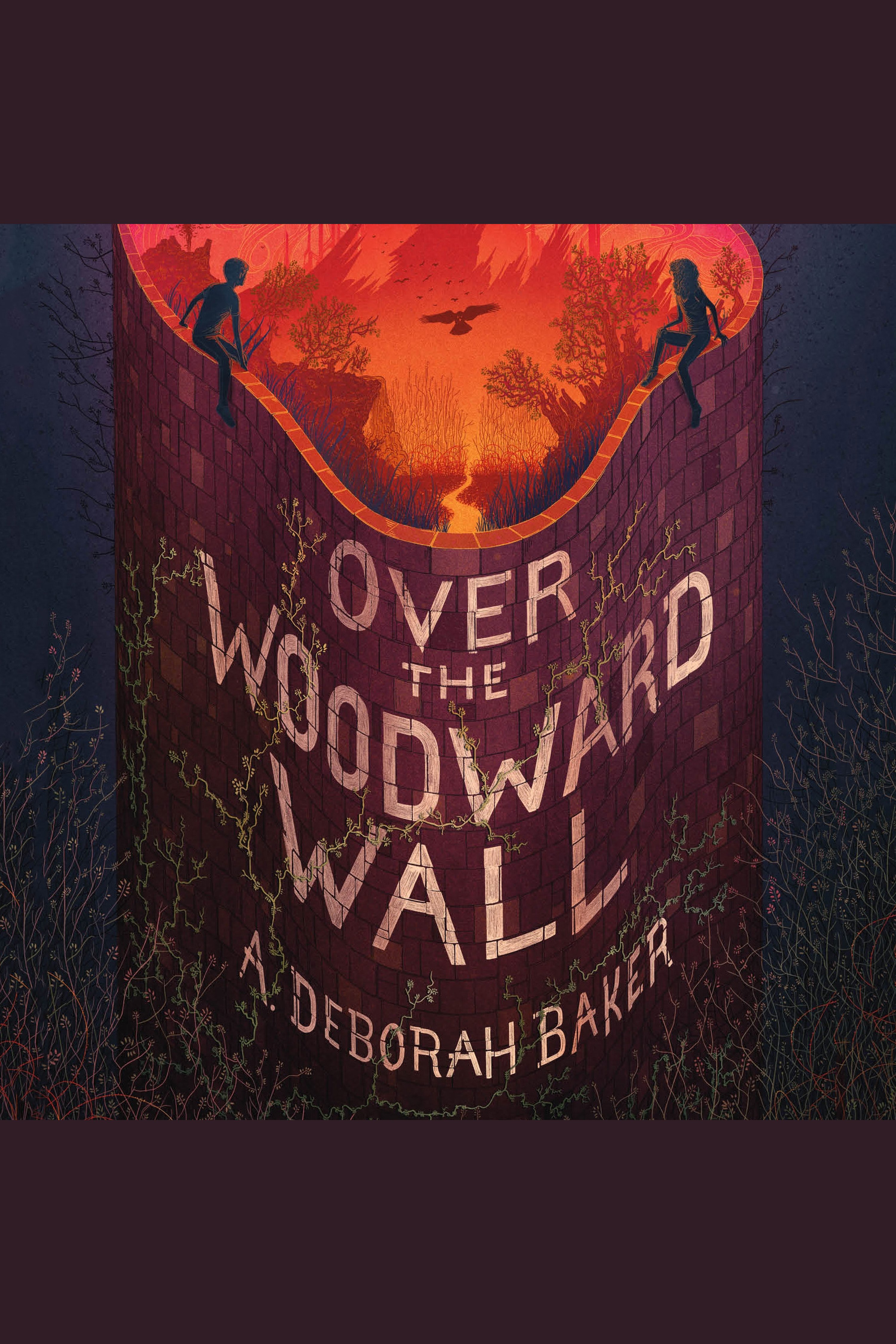 Over the woodward wall cover image cdn