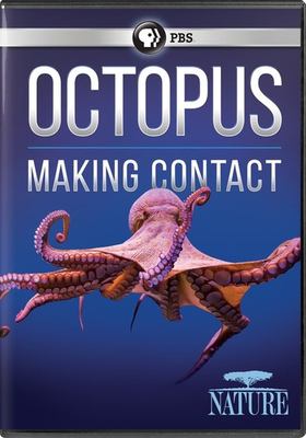 Octopus making contact  cover image cdn