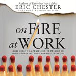 On fire at work : how great companies ignite passion in their people without burning them out cover image cdn