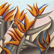 Paradise club cover image cdn