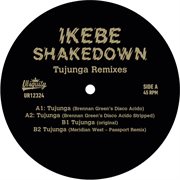 Tujunga remixes cover image cdn