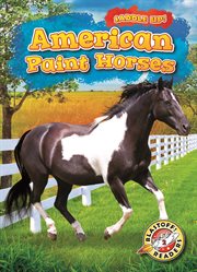American paint horses cover image cdn
