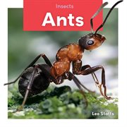 Ants cover image cdn