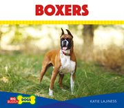 Boxers cover image cdn