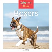 Boxers cover image cdn