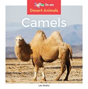 Camels cover image cdn