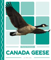 Canada geese cover image cdn
