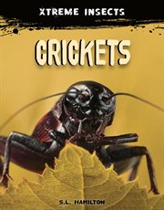 CRICKETS cover image cdn