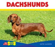 Dachshunds cover image cdn