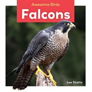 Falcons cover image cdn