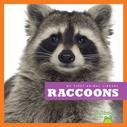 Raccoons cover image cdn