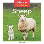 Sheep cover image cdn