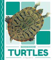 Turtles cover image cdn