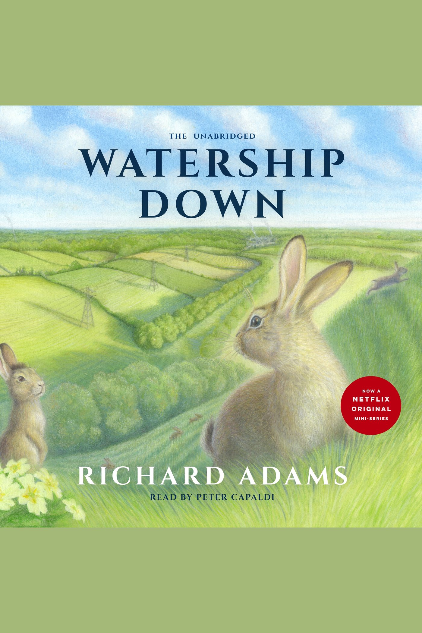 Watership Down cover image cdn