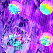 Areopagus cover image cdn