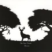 Aurora cover image cdn