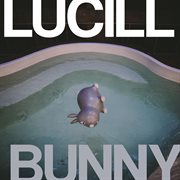 Bunny cover image cdn
