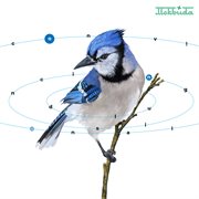 Convincing delusional cover image cdn