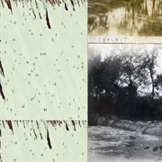 Slender threads soon disappearing / the walnut cover image cdn