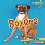Boxers cover image cdn