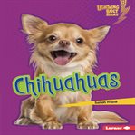 Chihuahuas cover image cdn