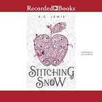 Stitching snow cover image cdn