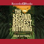 The second biggest nothing cover image cdn