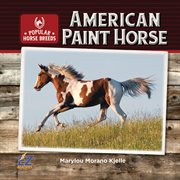 American paint horse cover image cdn