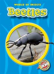 Beetles cover image cdn