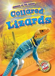 Collared lizards cover image cdn