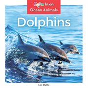Dolphins cover image cdn