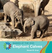 Elephant calves cover image cdn