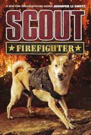 Firefighter cover image cdn