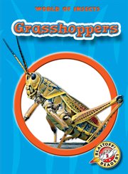 Grasshoppers cover image cdn