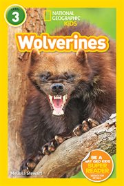 Wolverines cover image cdn