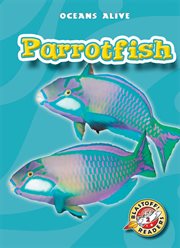 Parrotfish cover image cdn