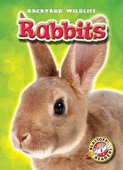 Rabbits cover image cdn