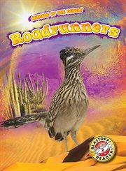 Roadrunners cover image cdn