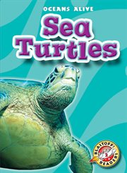 Sea turtles cover image cdn