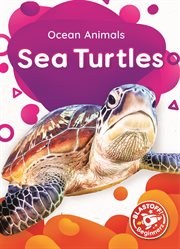 Sea turtles cover image cdn