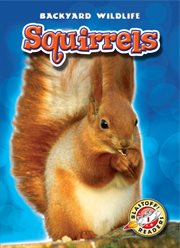 Squirrels cover image cdn