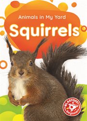 Squirrels cover image cdn