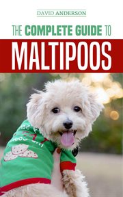 The complete guide to maltipoos: everything you need to know before getting your maltipoo dog cover image cdn