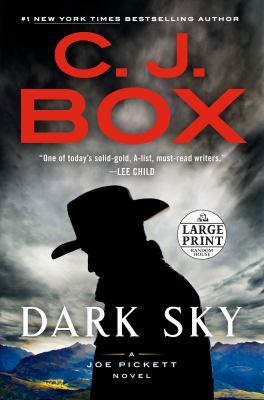 Dark sky a Joe Pickett novel  cover image cdn