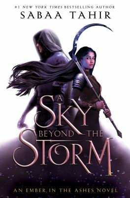 A sky beyond the storm  cover image cdn